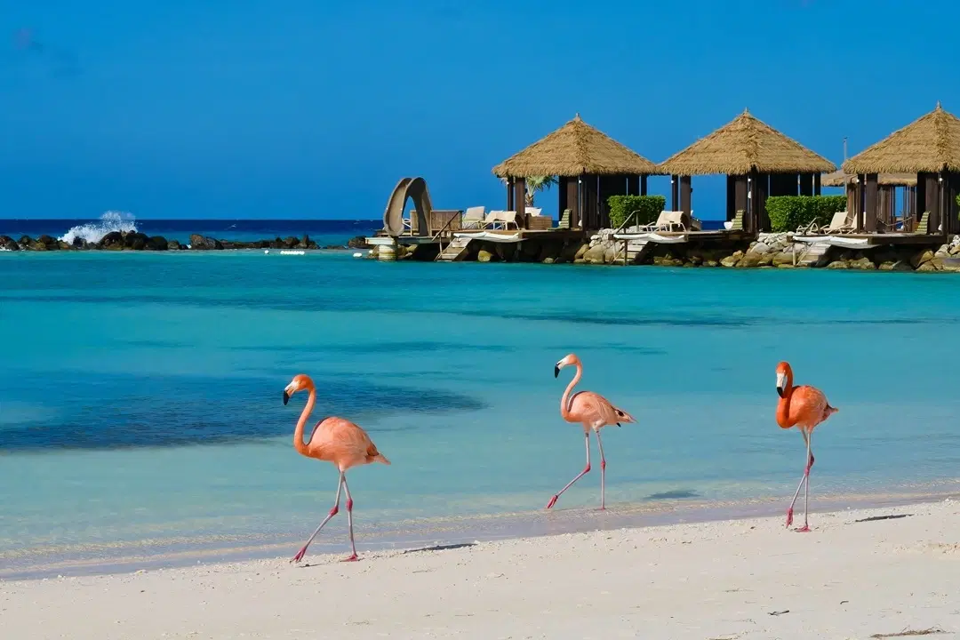 5 Steps to Do Offshore Banking in Aruba