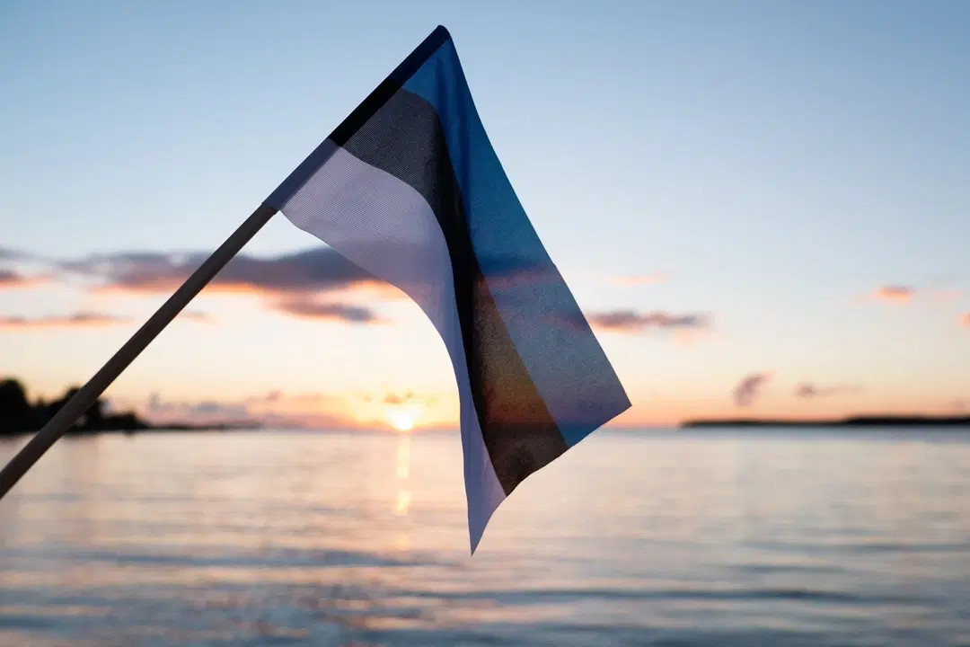 Why Is Estonia Emerging as a Digital Free Zone for Offshore Banking?