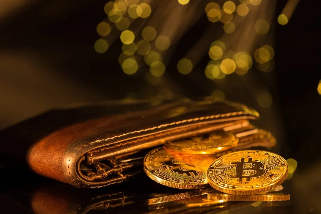 What is Required to Open a Crypto Wallet Account?